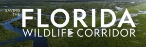 Wildlife Corridor FL